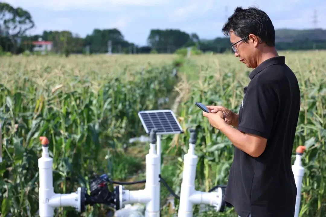 全国74席，PP电子集团官网控股独占两席！入选农业村落部智慧种植典型案例