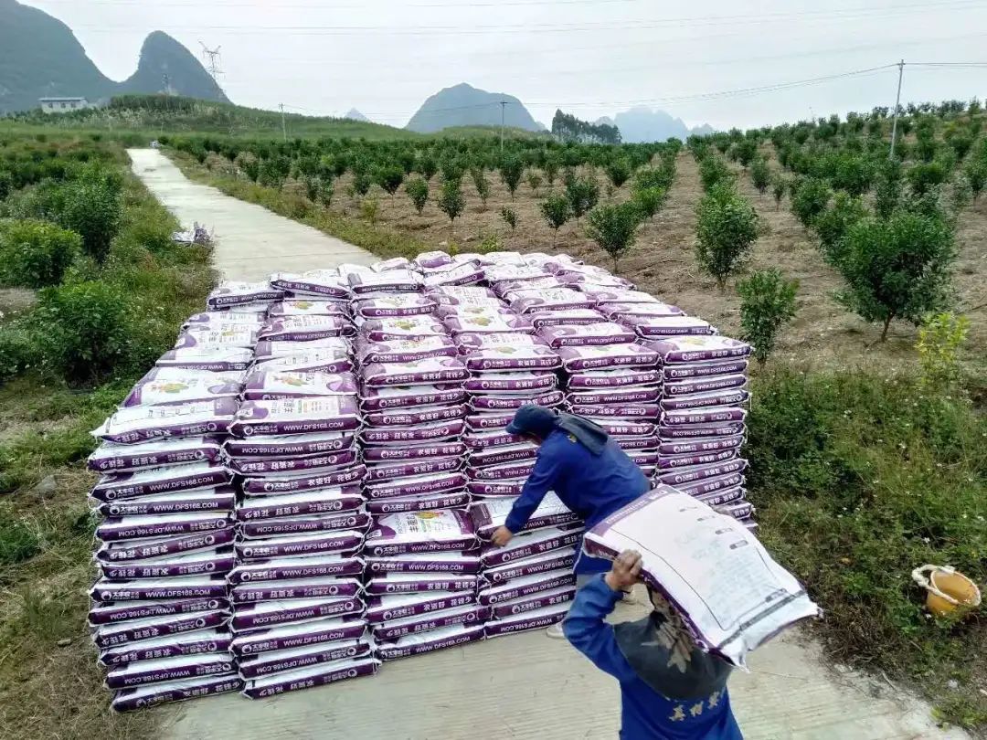 d9a6df98422d0ba23f2aeb20cb7f8fcc