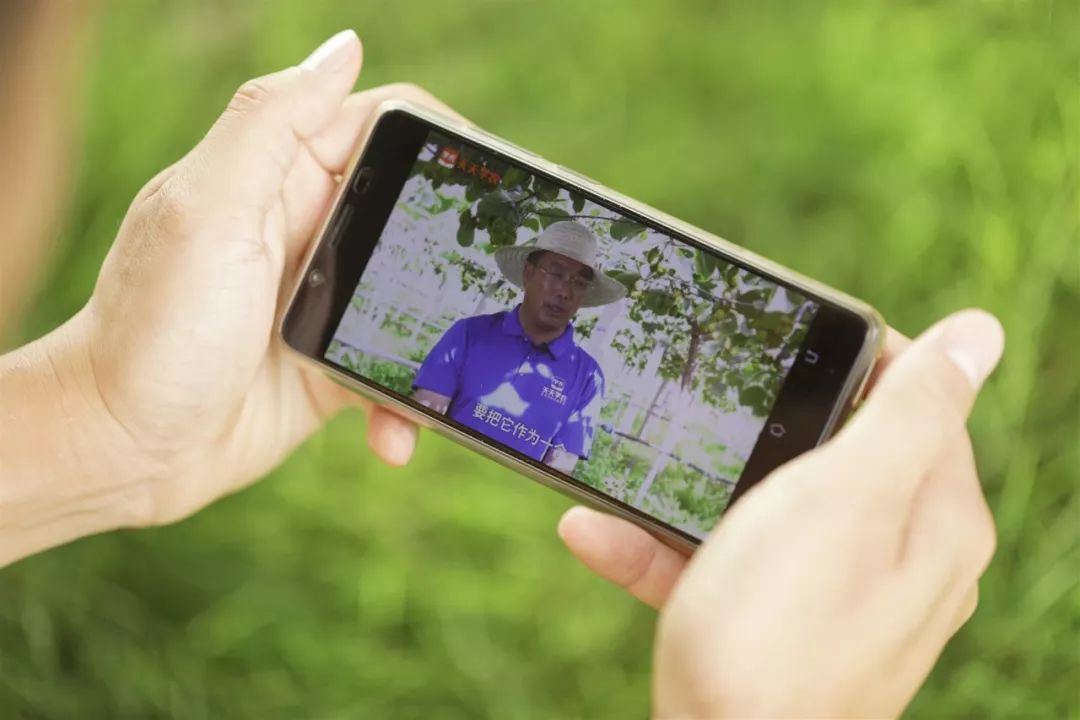 07dd8afac491320996b7ae4800efaeea