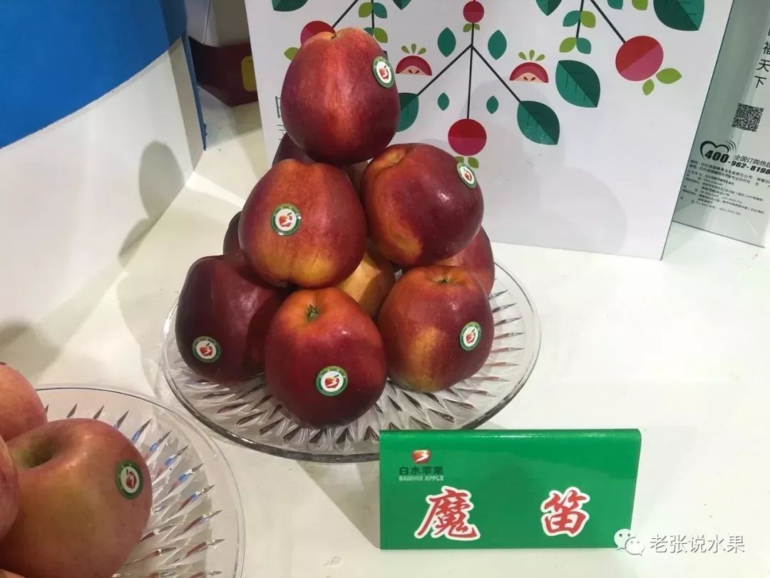 1ed5fc67a3fc24edc3bd2ef271f120ae