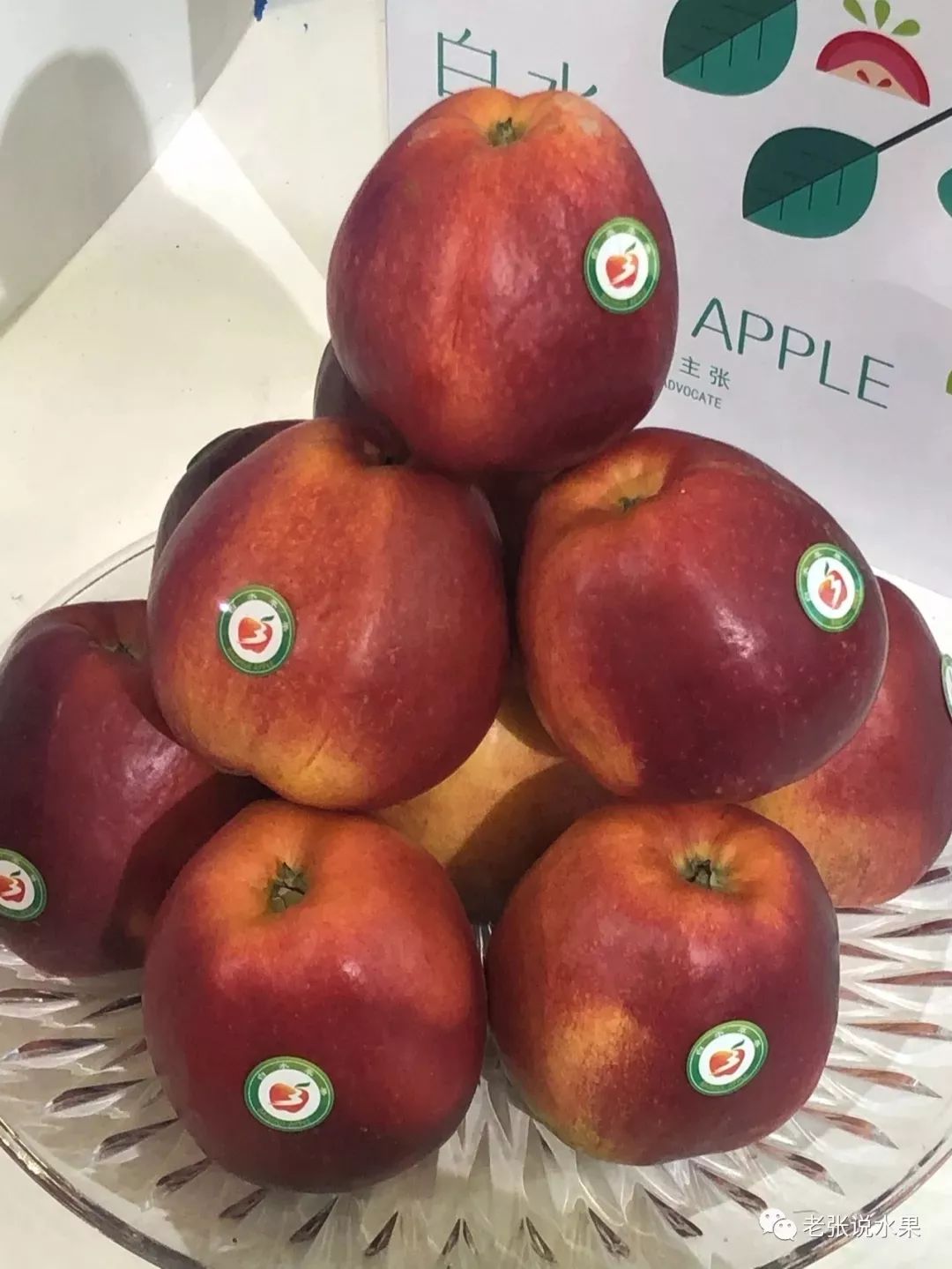 23a82058f1d9490e11e3b108207f917e