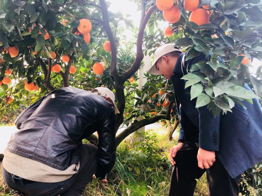 2adff2d648bdfea984bb30f9e25ae403