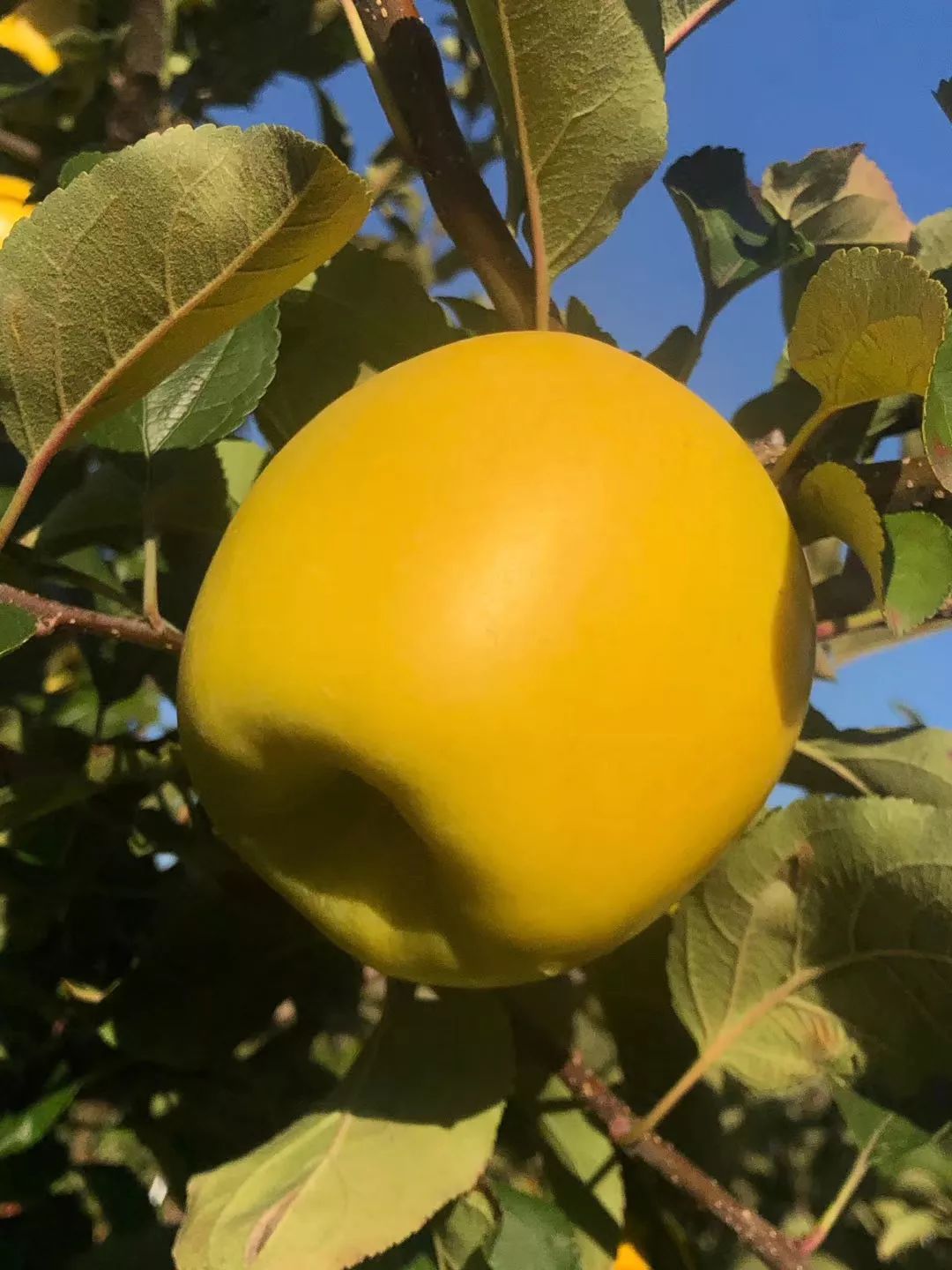 2eb3826010cc67ea806a10d108fb539f