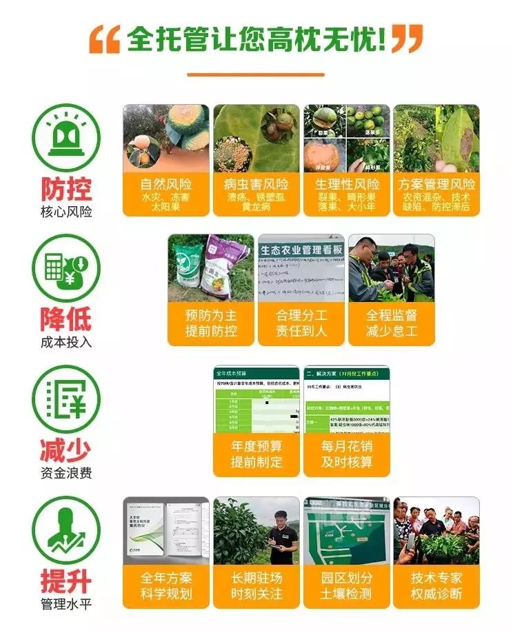 31376c8021824602bfcfd1d1c48d0708