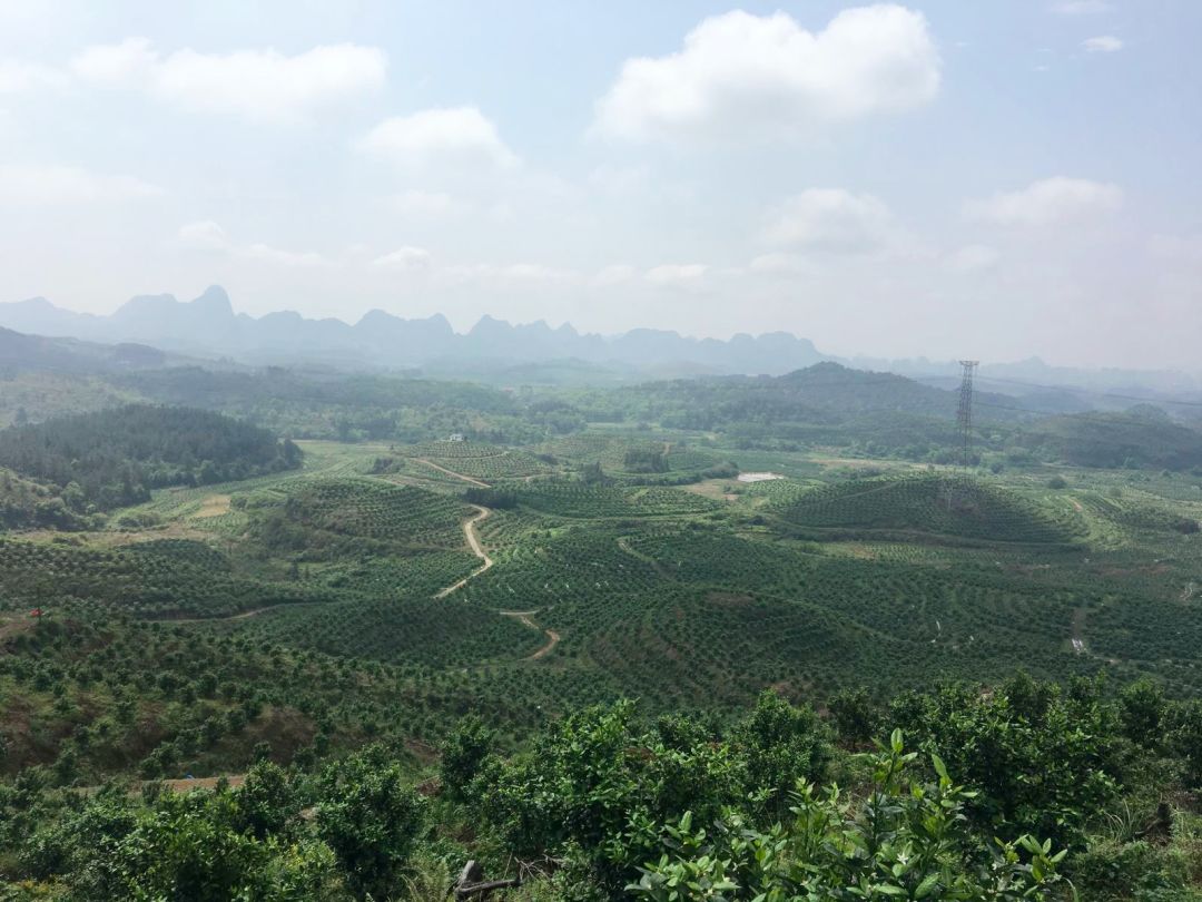 37d3ba6080177bb213dda65aeb425c42