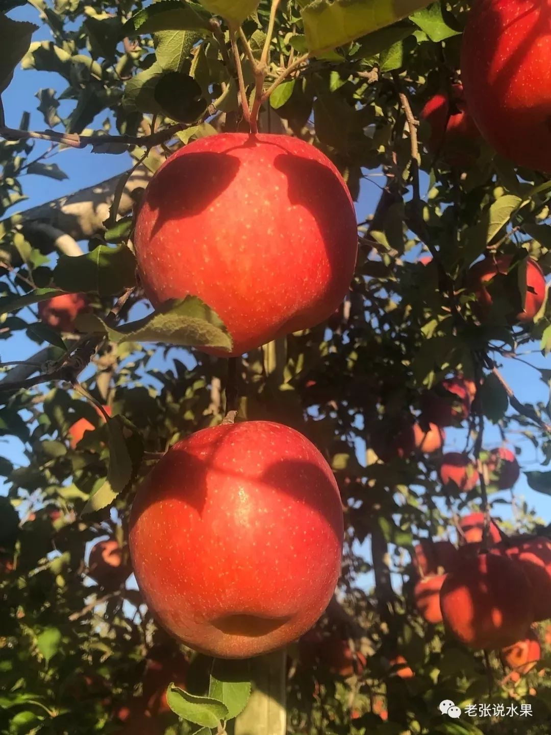 4b7599ef9bb271f461b0a9e293dbcbb0