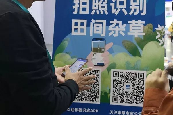 4c8768a481fc12adfa4204efe8d61a7b