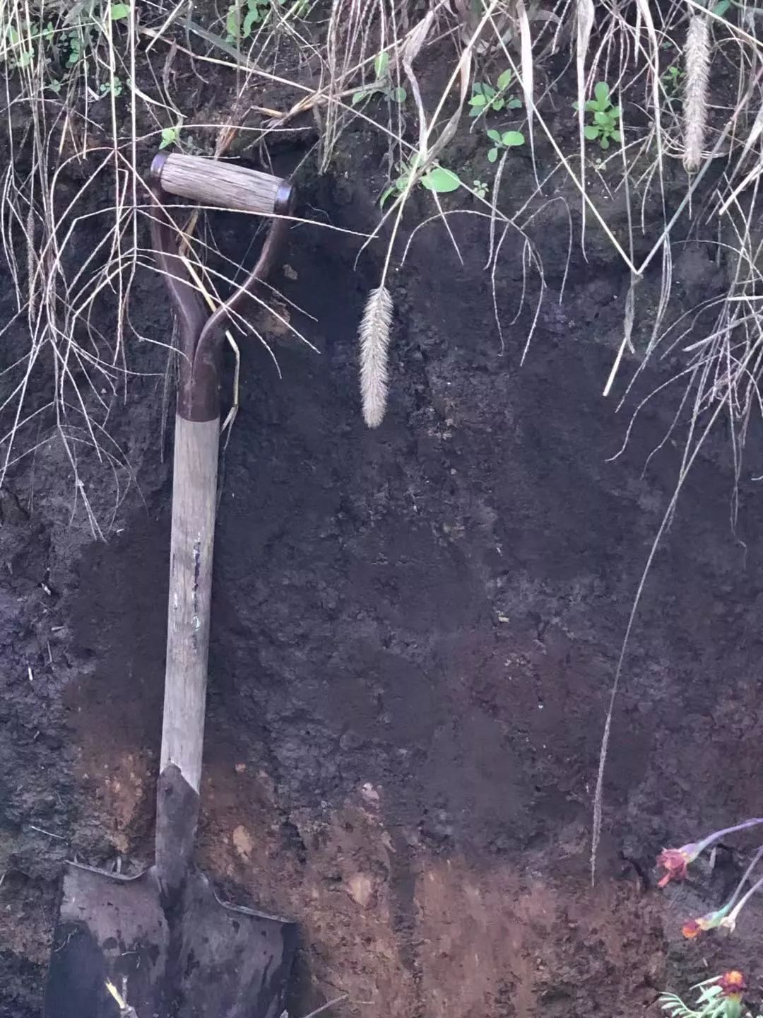 4e5d86bb41a06de71722bb21b5f1fa9f