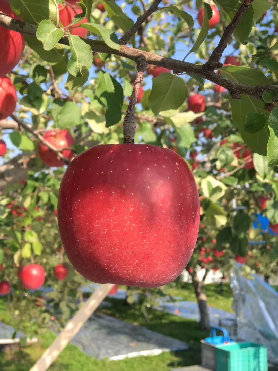 50ffcb94e55861fe0b4742157b3c827d