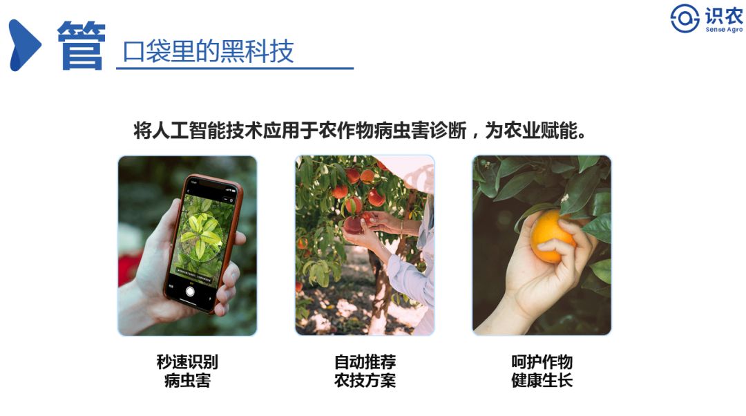 73254c44abed84dfd34f8797e05eb00a