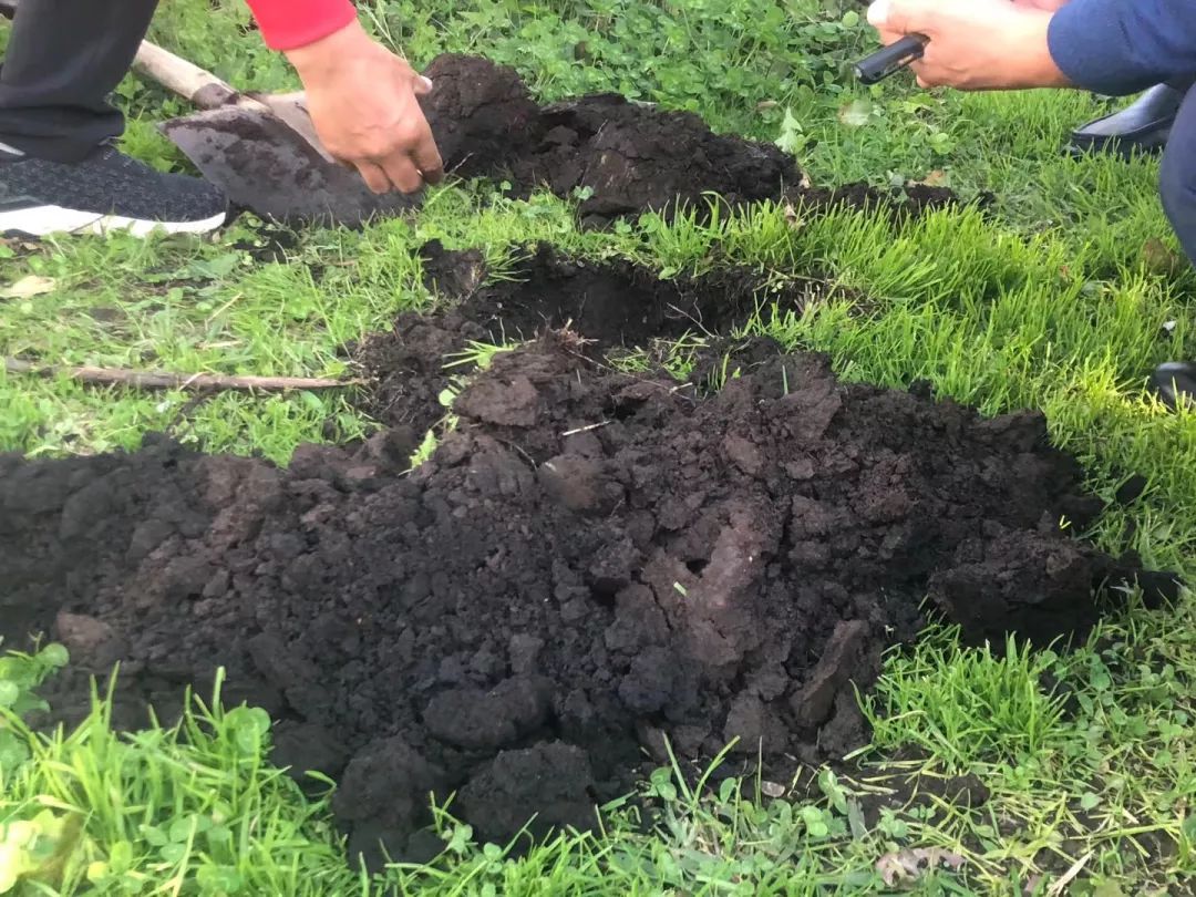 7fdcdc858d12375d982249c352c25f22