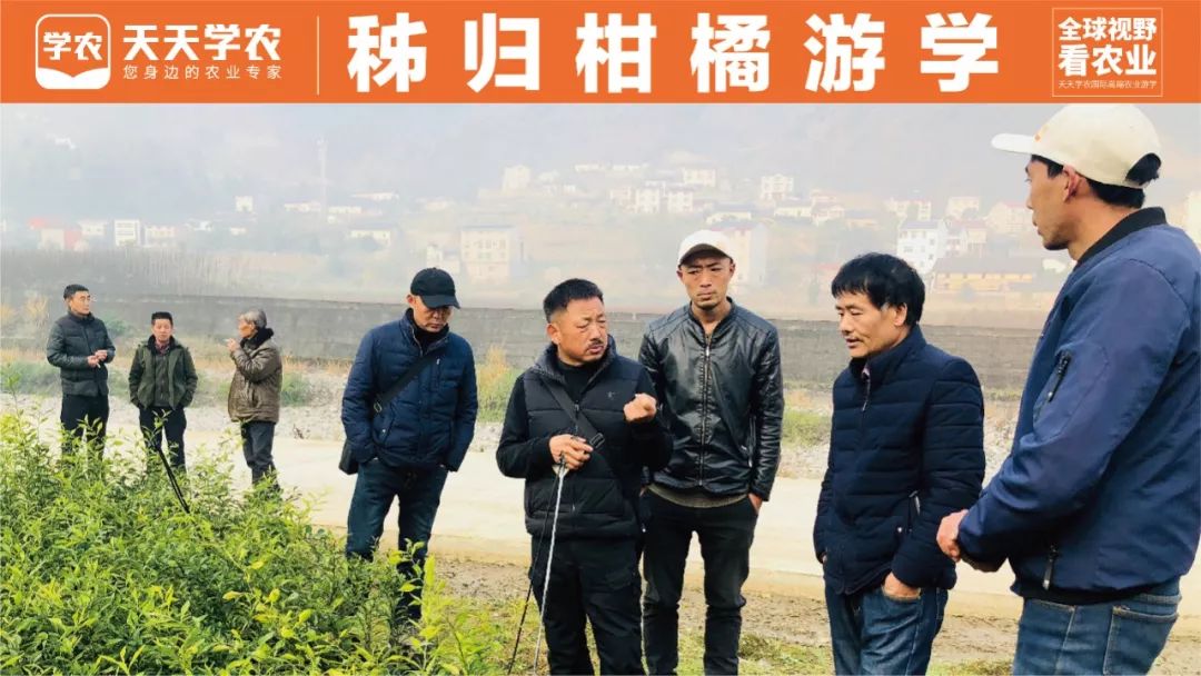 8881dde0254d2c6c2e5998ba7cc7b241