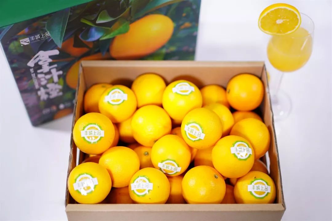 8e6a16ac7f1aea251038e0e2c73c5e53