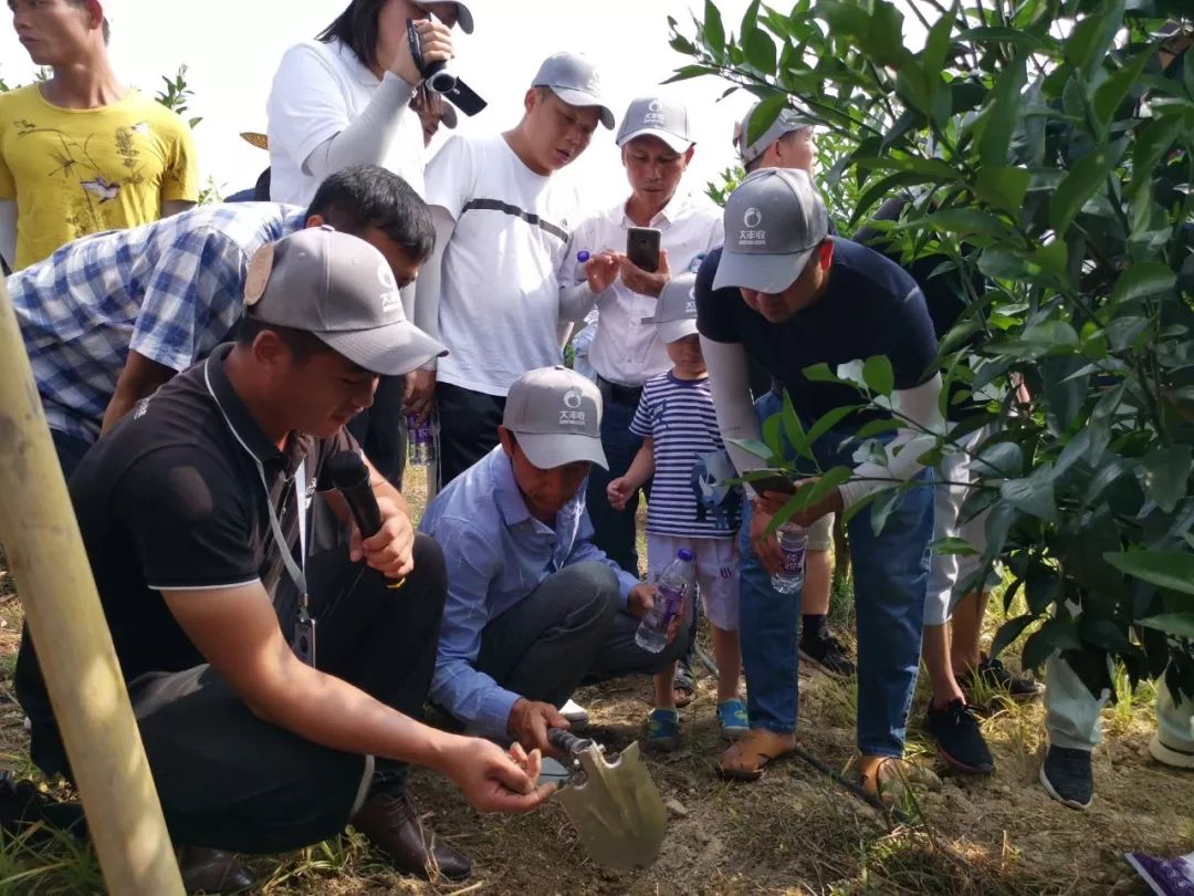 99a05df7609a02acfdde564ab6a8b1ee