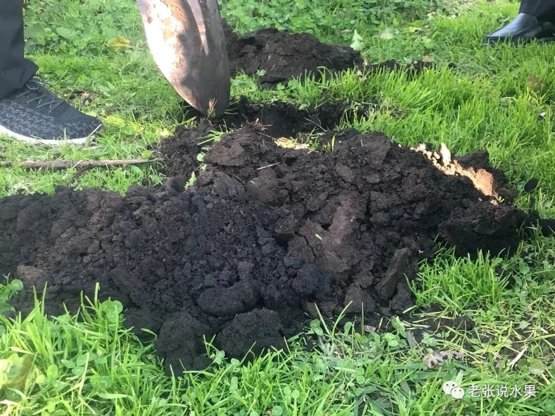 9b28779b99c798977426c1a0684de75d