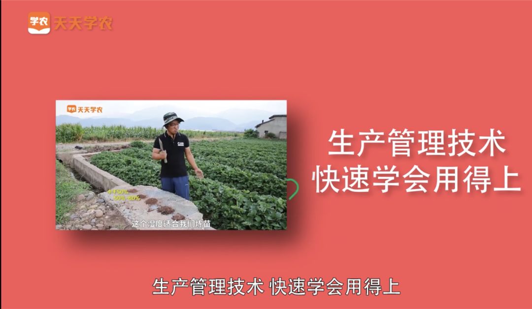 a133f380285940738f697b390c45010b