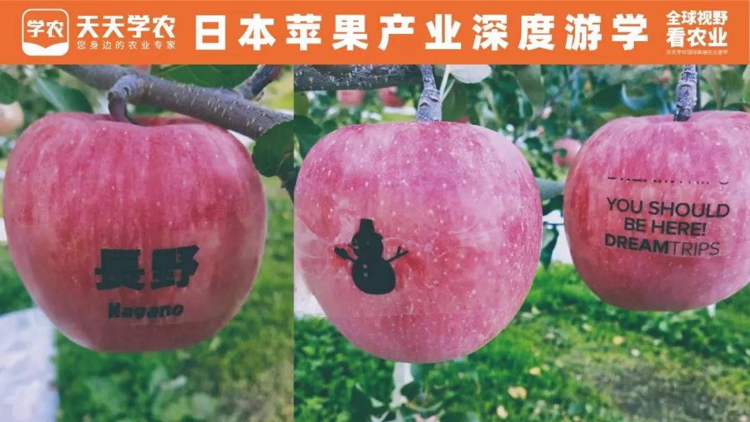 b7ad857318b311d4d77c1b7c327108d3