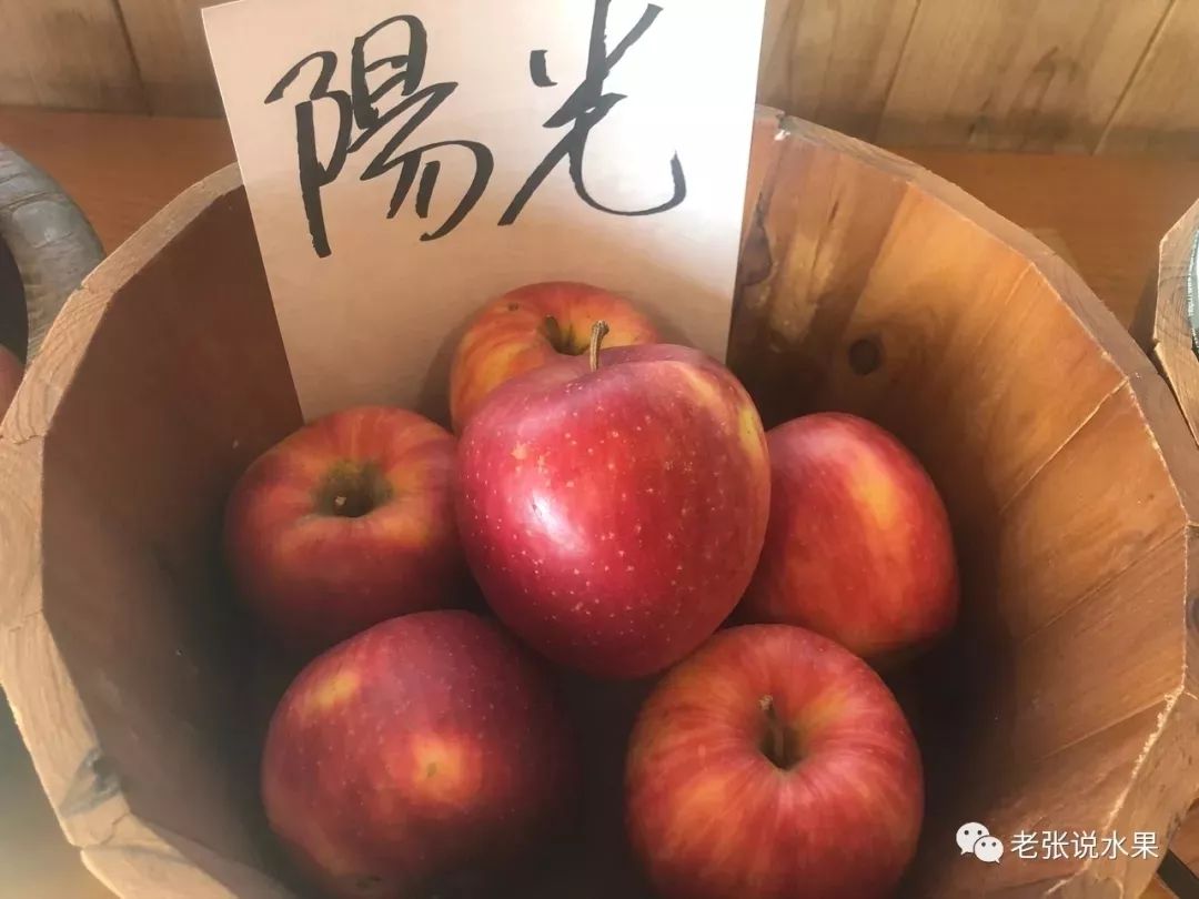 c593b08e289477f892bda290baaab5b1