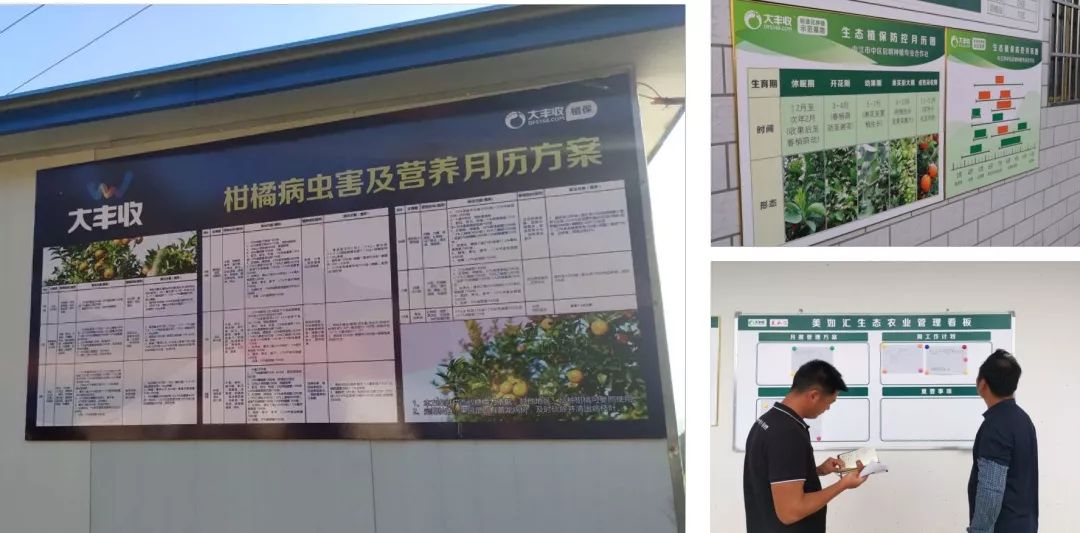 cf66c6afe624fe25b1cf81ea43f867e8