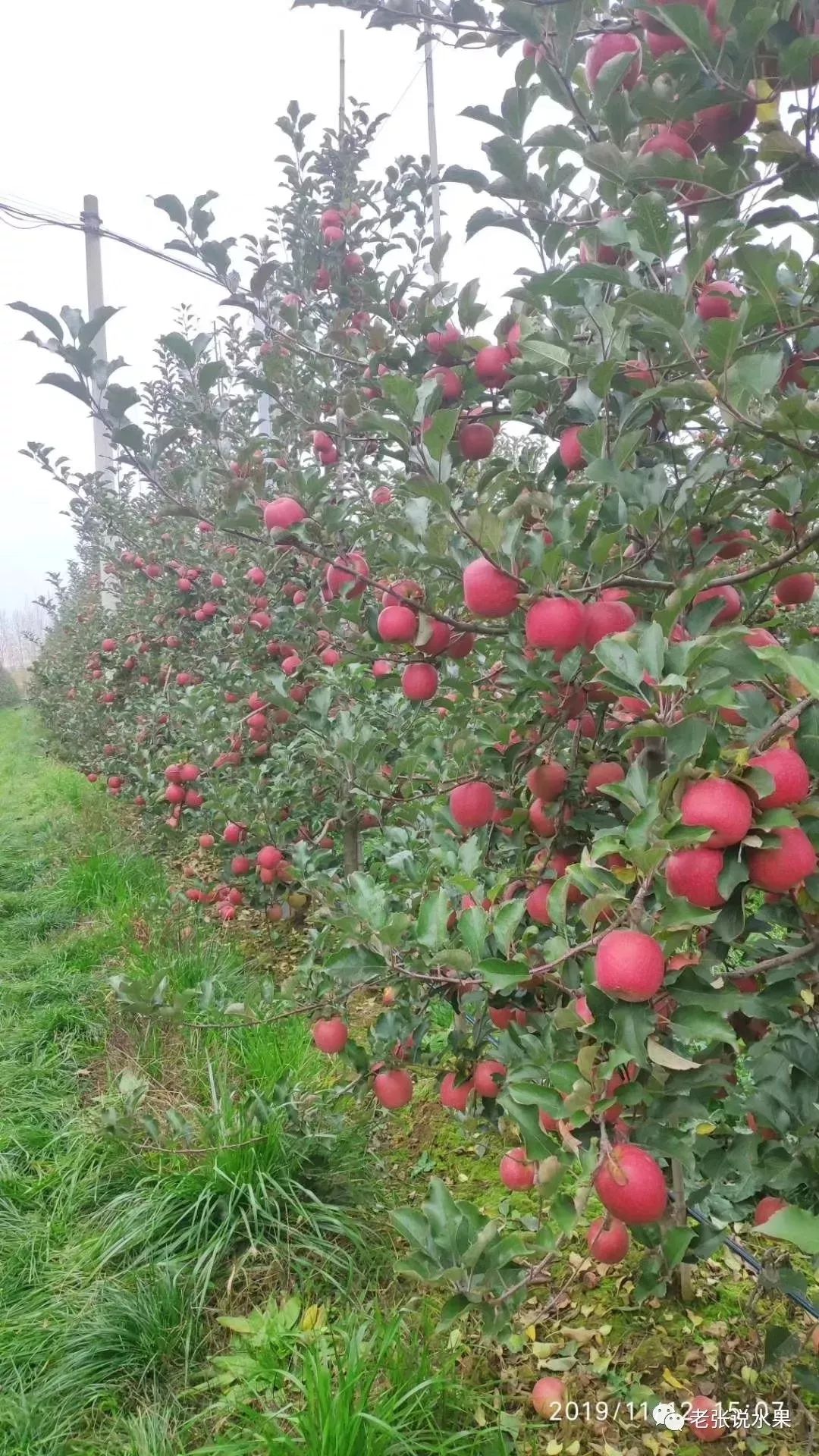 dfa4d2787684fcd544e415d6d6c0f89e