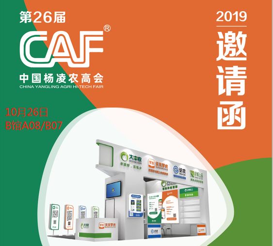 e666d870388cf64bb4e17ccd33d6251a