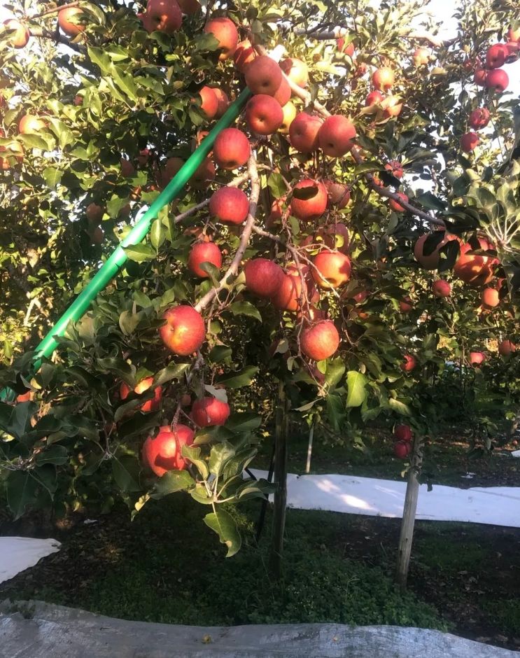 eb817bc94e765a4c81169e4fc90657e0