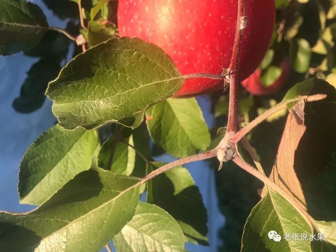 f7472cb85f8d3a19261ba92de6043164