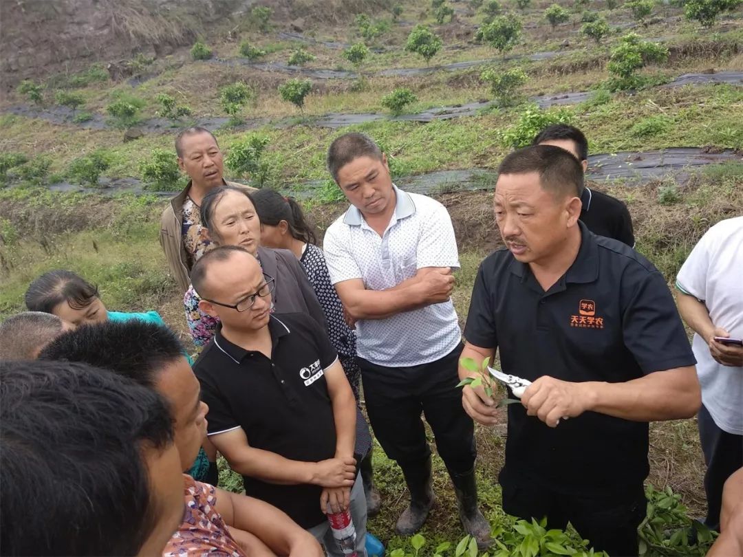 207438efe674d5626616cb52109733dc