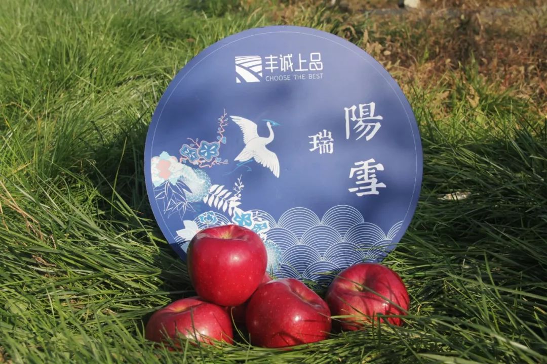 3e5fb71e0c898d578315e9b43eb99e45