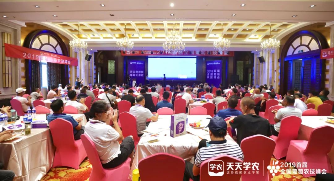 3fa985f8d0524c1c88595fdf8990196b