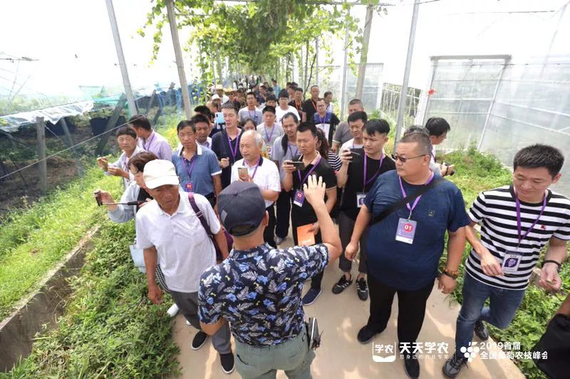 943adbe577fa8bbaf108f10cc2d1f350