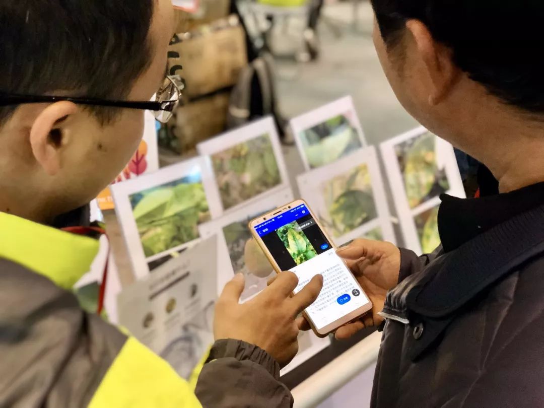 c224e4a7f82d487fb463e17df7ed3ec8