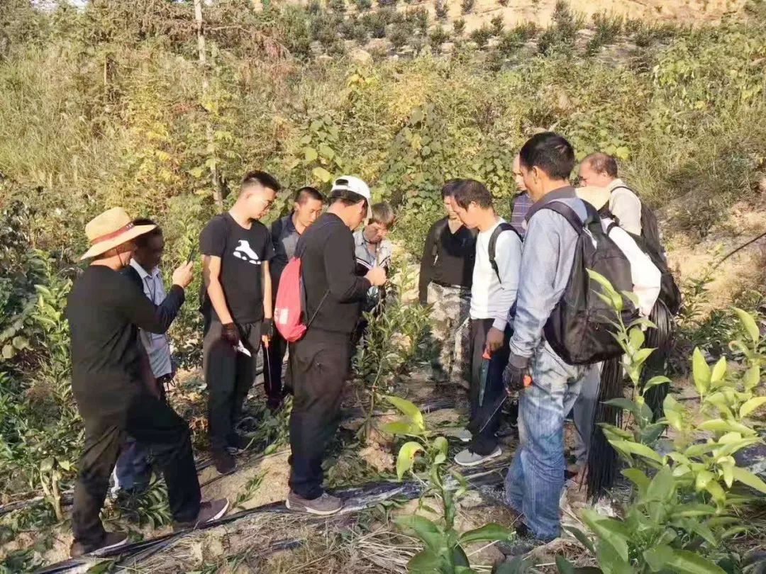 d7d835b7b17da9da6a04b871079a9c37