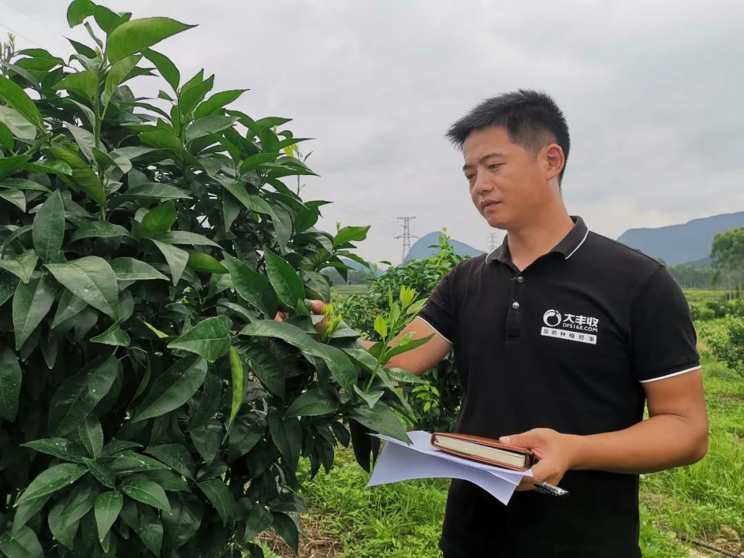 ece2be60f225c2656eb6a7a18a9d96ea