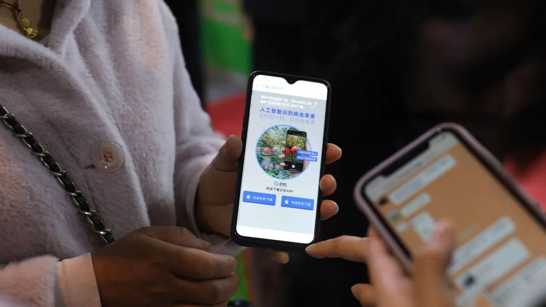 d68d9a112f9e730674ffb0b7b512d38c