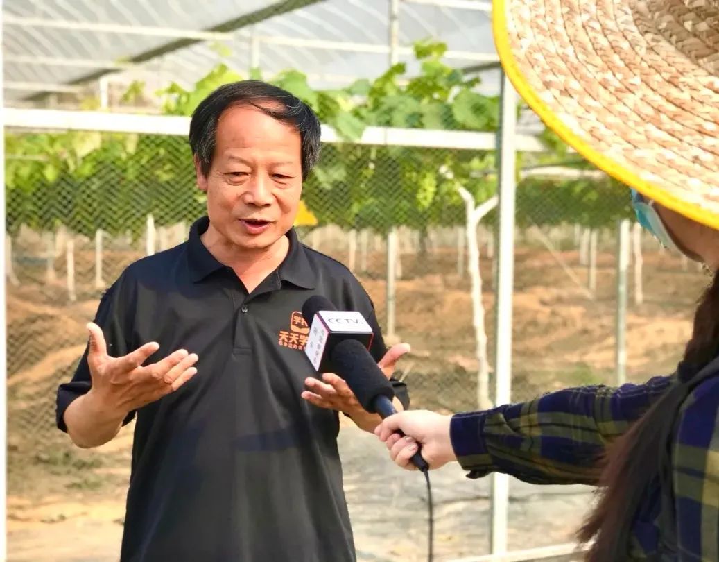 3cab1c35acc48244fc5221badcf1d893