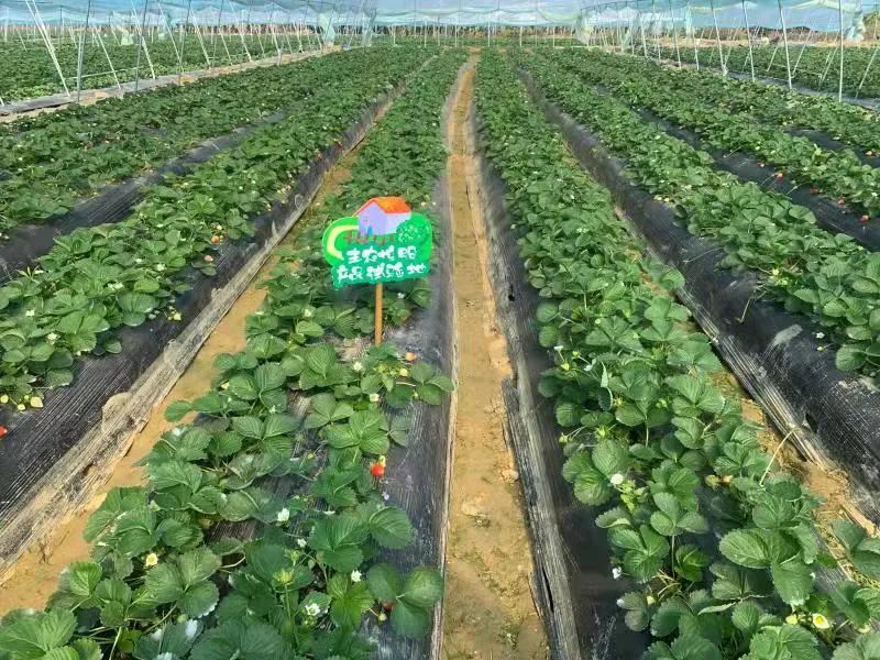 33d8aea4af8fe92d6678a878db9cd442