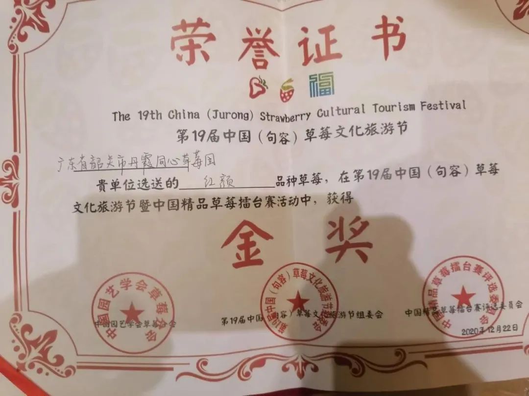 7fd91221cdd43783fc25c71c4e08ac29