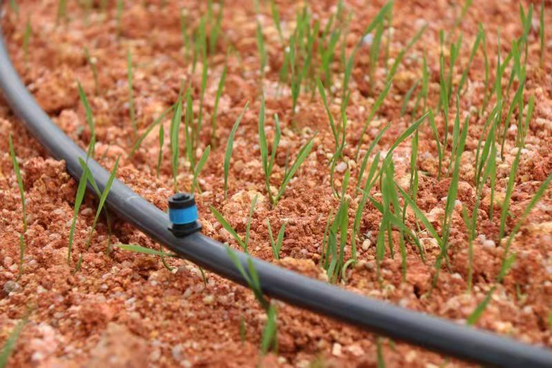 0102c1761da19a2d06b6e2f428fdf57a