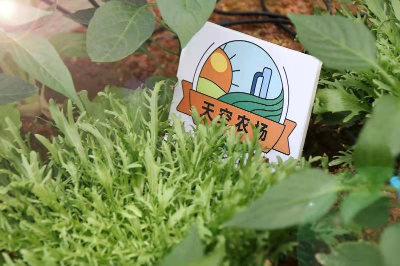 08377671c88714c11cadd852429fc66d