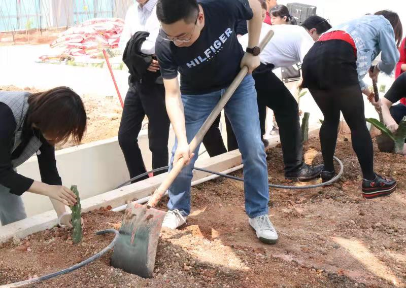 10ac9d8a69b4568eafc6ead84f7859d4