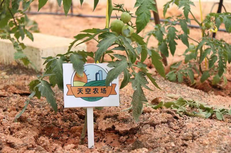 447500e0878c2c84085b3b9e8af1cb39