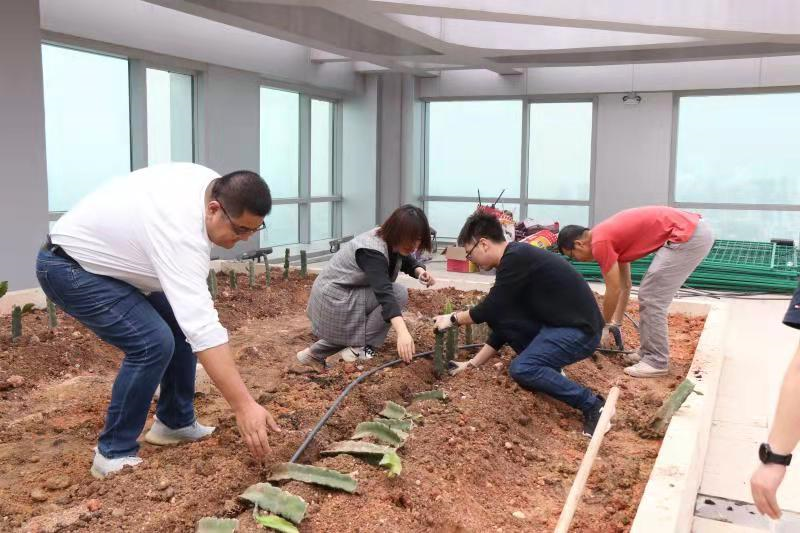 4c2d61f78e441bdc44f2cfd182779ada