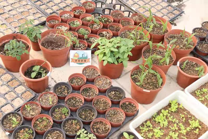 54cce5c5ff71ec4f5506d5834d0bf95f