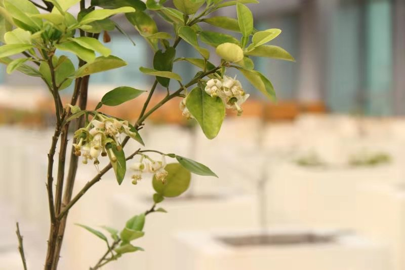 6836f266bfdaa24f991eef39fb8bd569