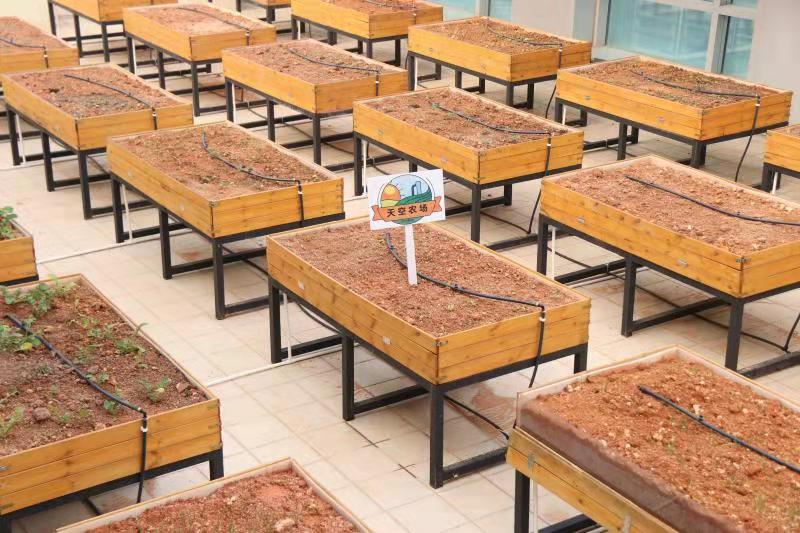 ae82e4785627f5d360f260a469266874