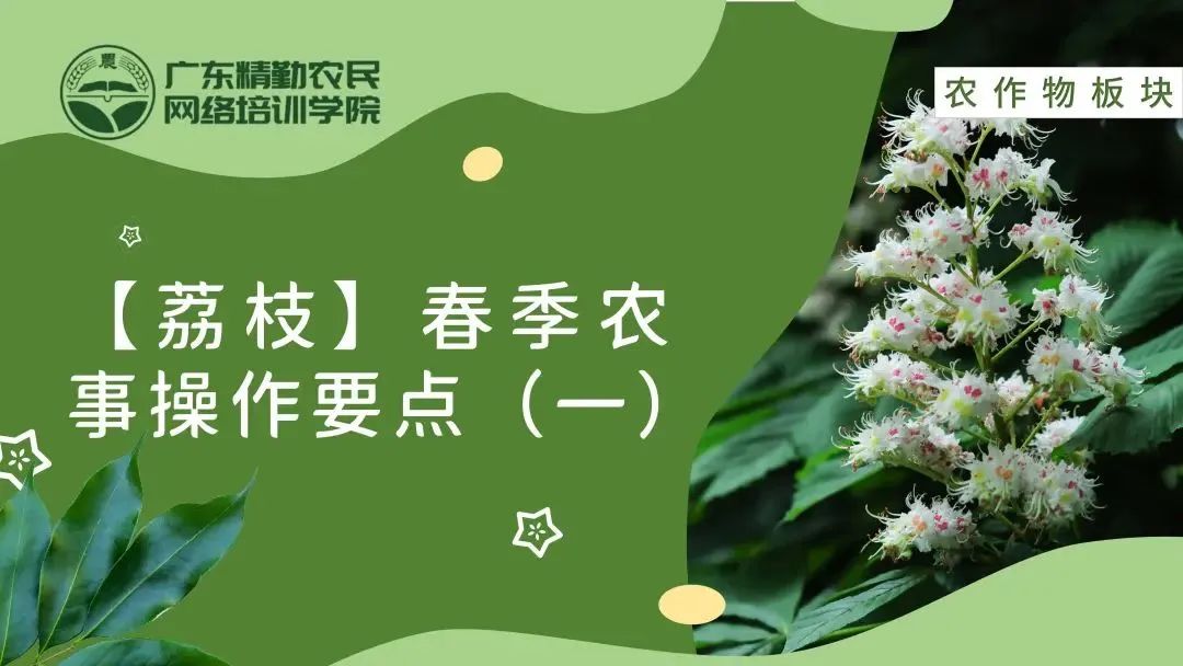 e2e1efcc20665193a597156cf2c8bc30