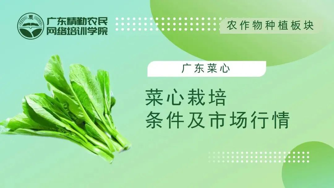 ee99606f639fdff68c90f5d480df7cda