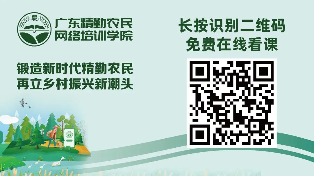 f1841dcefedad38309e94fe02a473e67