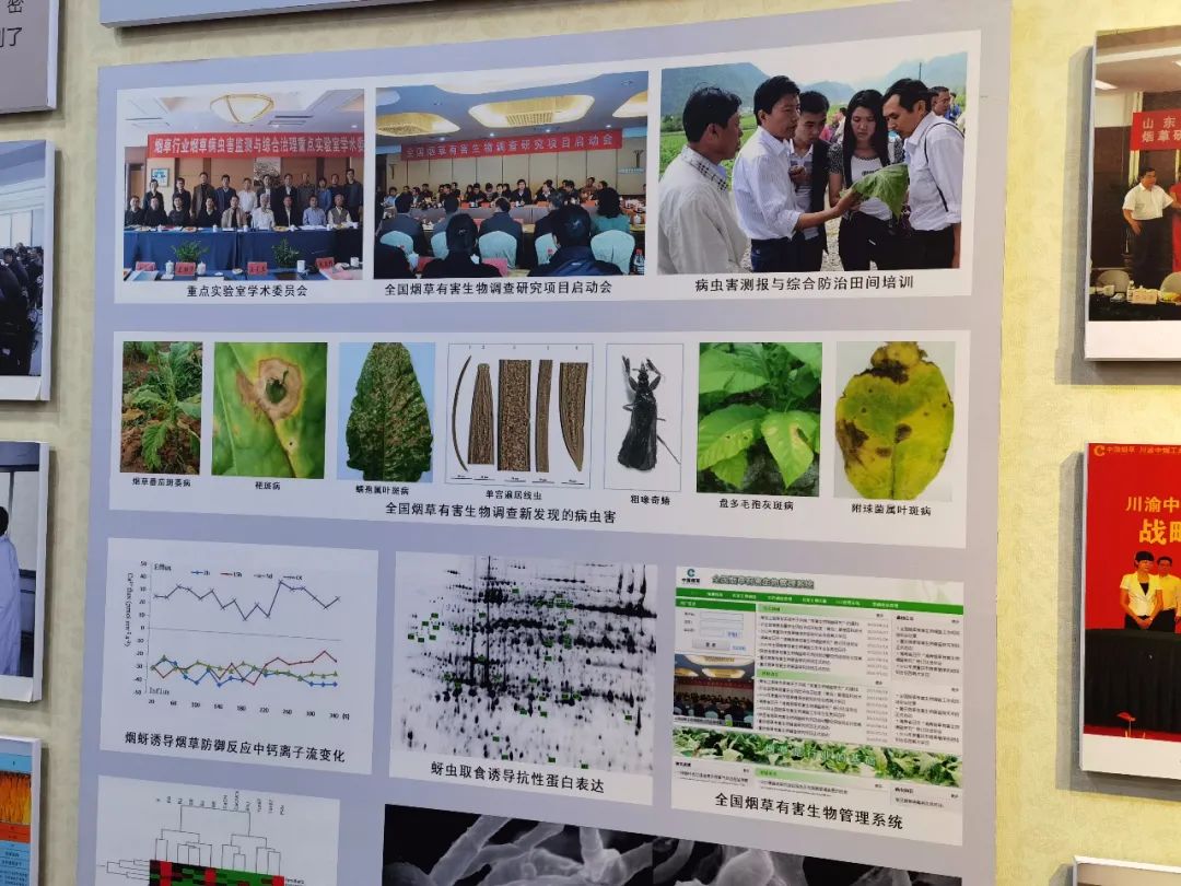 4391aac771d3ec0724b5552099c70369